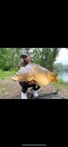 Leather Carp