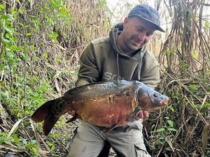Mirror Carp