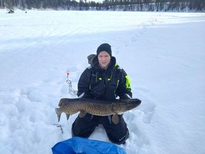 Northern Pike