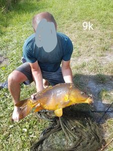 Mirror Carp