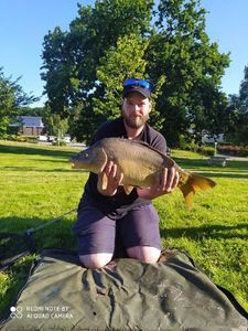 Mirror Carp