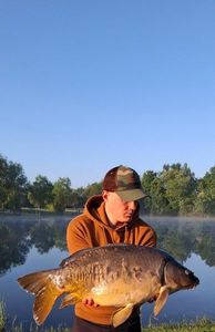 Mirror Carp