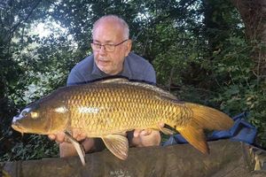 Common Carp