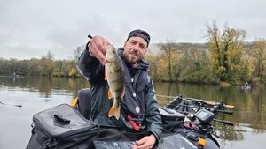 European Perch