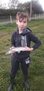 Northern Pike