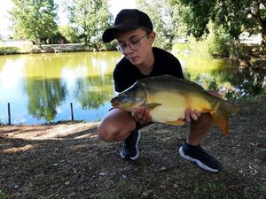 Mirror Carp