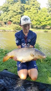 Common Carp