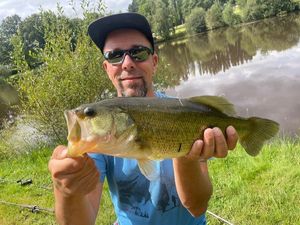 Largemouth Bass