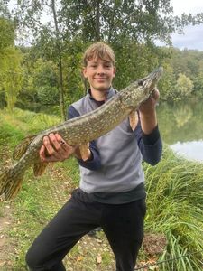 Northern Pike