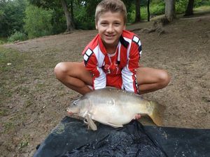 Mirror Carp