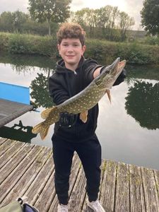 Northern Pike