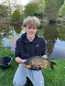 Common Carp