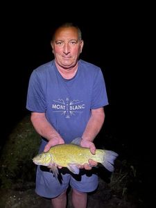 Tench