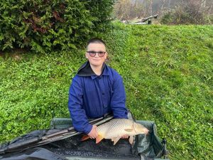 Common Carp