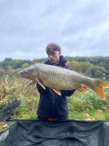 Common Carp