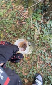 Largemouth Bass
