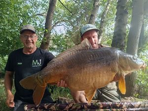 Mirror Carp