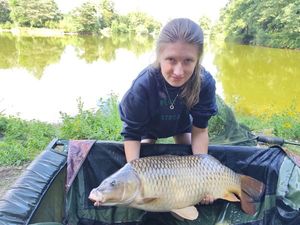 Common Carp