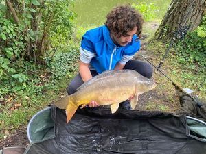 Mirror Carp