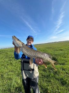 Northern Pike