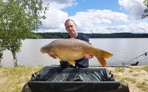 Mirror Carp
