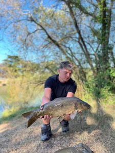 Mirror Carp