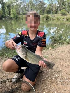 Largemouth Bass