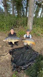 Mirror Carp