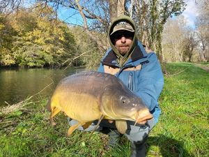 Mirror Carp