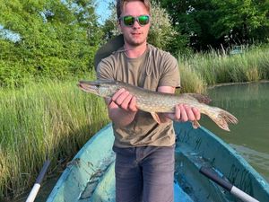 Northern Pike