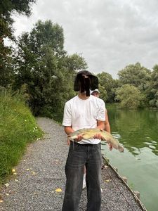 Black Bullhead
