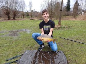 Mirror Carp