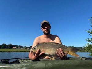 Mirror Carp