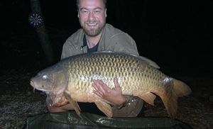 Common Carp
