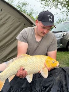 Mirror Carp
