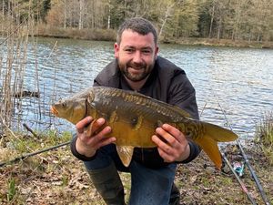 Mirror Carp