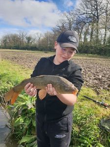 Common Carp