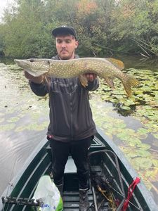 Northern Pike