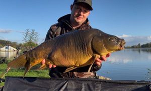 Mirror Carp