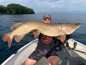 Northern Pike