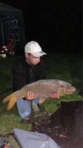 Common Carp
