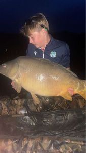 Mirror Carp