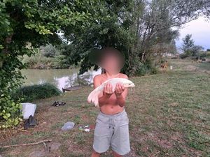 Koï Fish