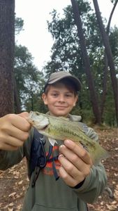 Smallmouth Bass