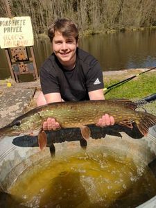 Northern Pike