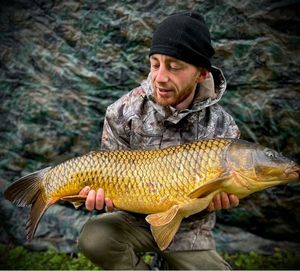Common Carp