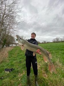 Northern Pike