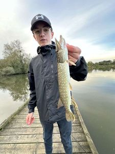 Northern Pike