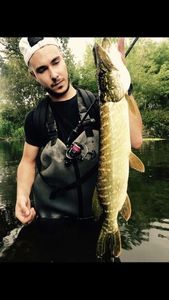 Northern Pike