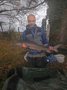 Sturgeon